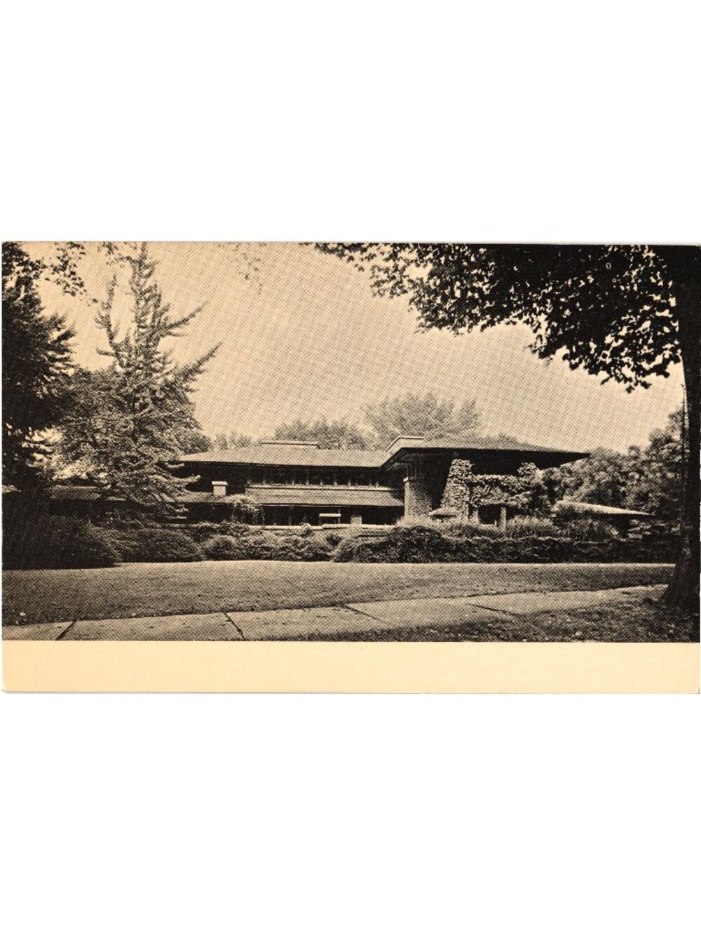 Frank Lloyd Wrights D. D. Martin House Postcard Buffalo NY 1904 Real Photo